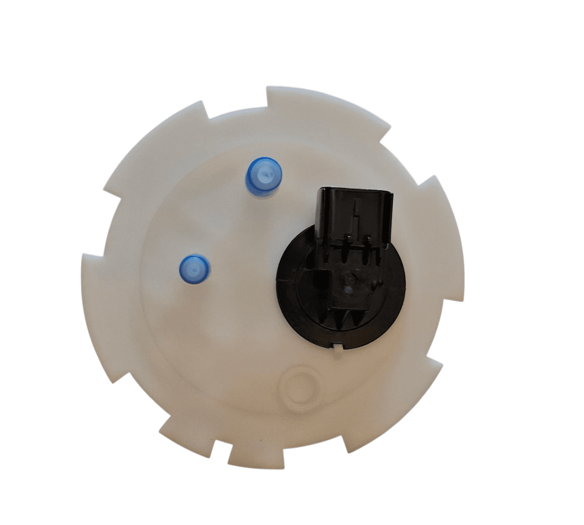 Photoroom-20250611_203107_5.png