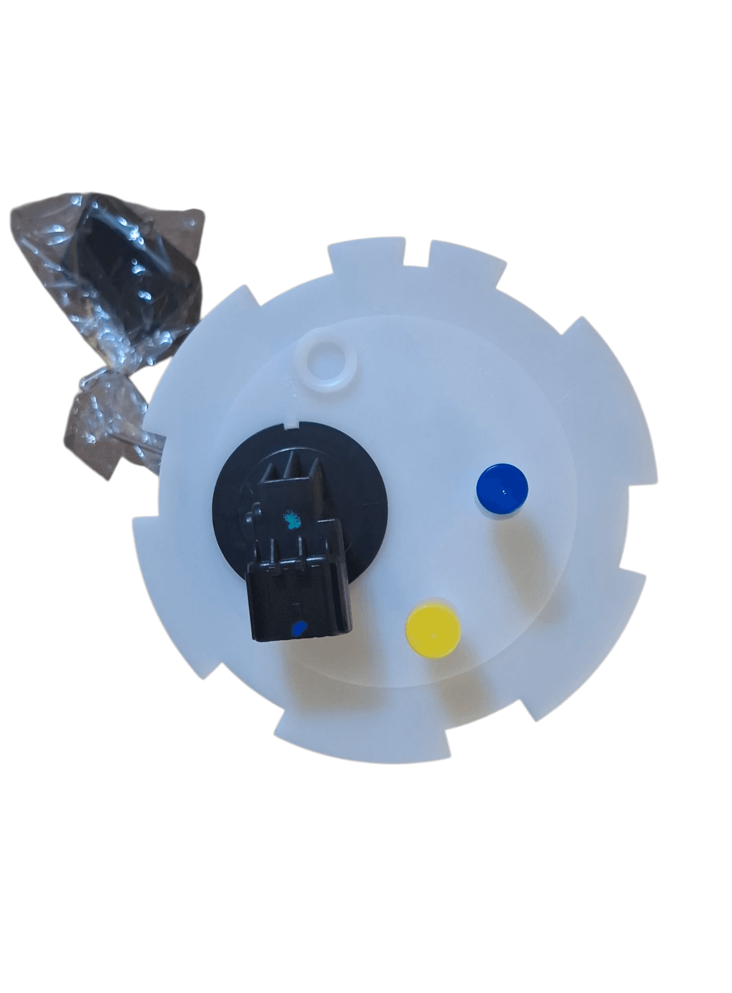 Photoroom-20250610_211102_3.png