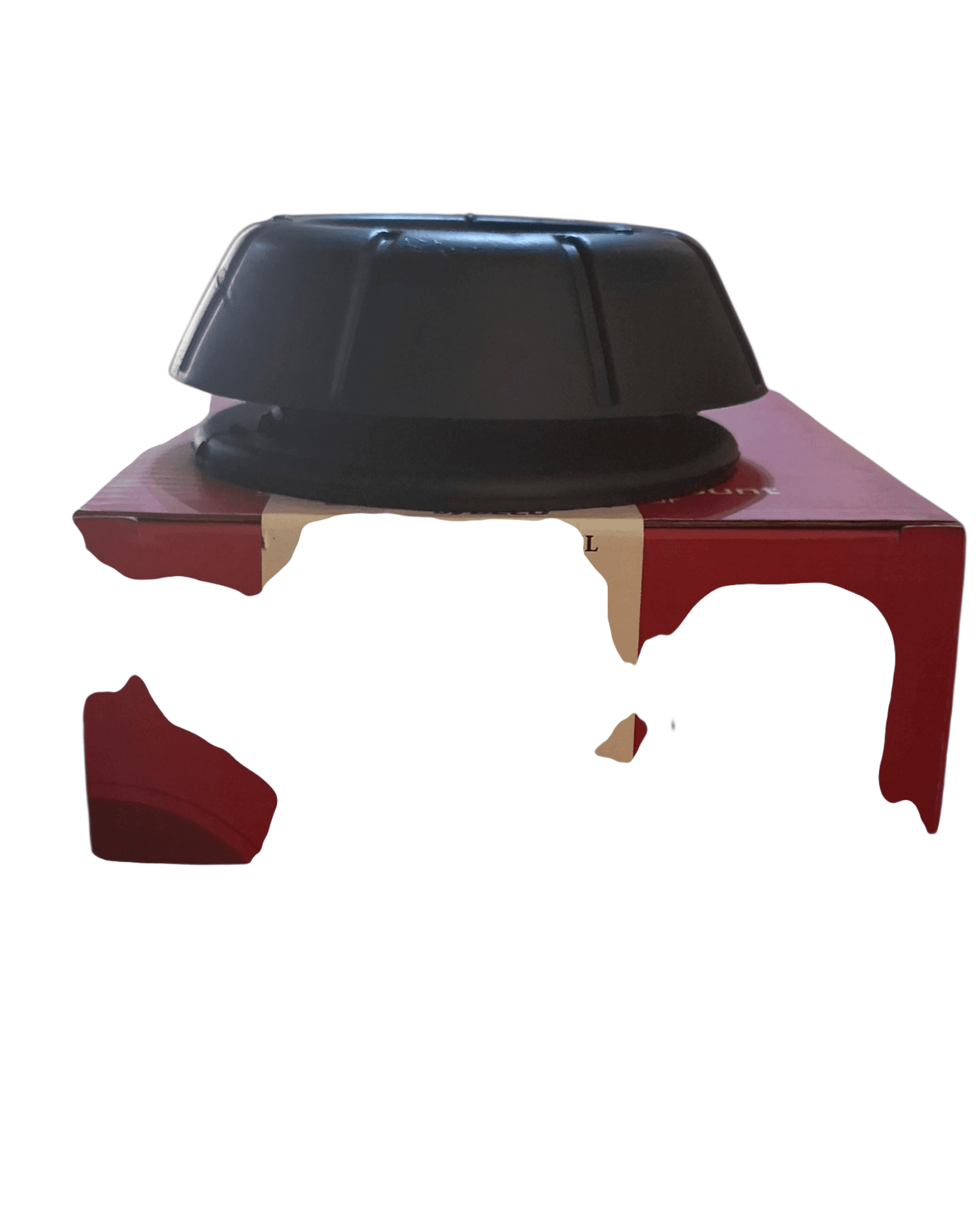 Photoroom-20250610_214505_6.png