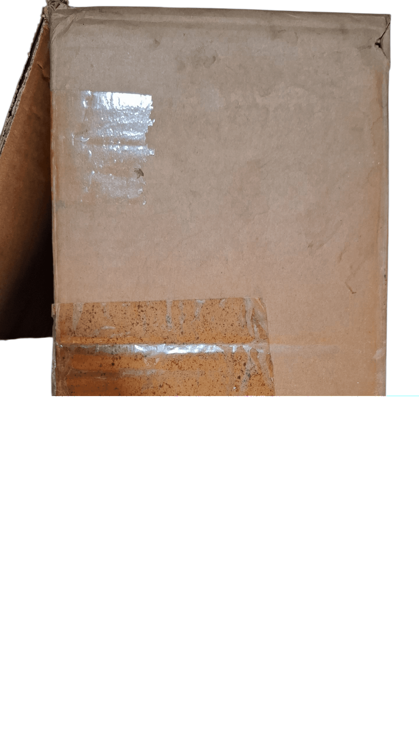 Photoroom-20250817_164231_3.png